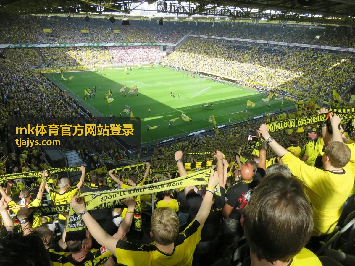 mk体育官方网站登录首页内容总览封面