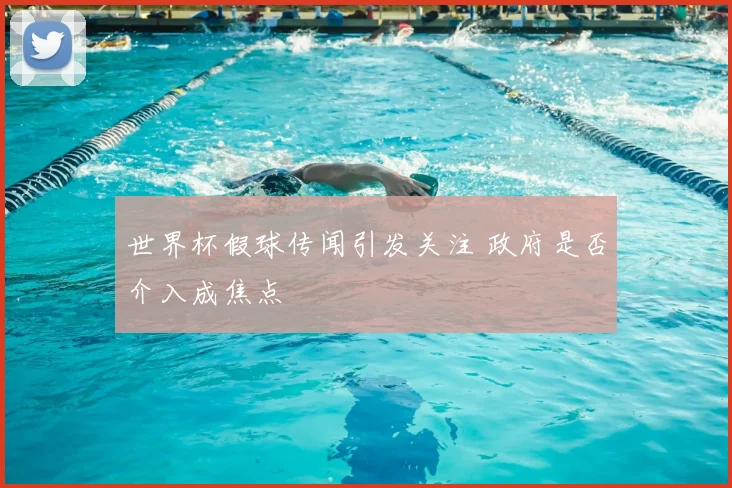 世界杯假球传闻引发关注 政府是否介入成焦点