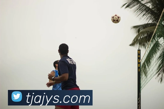 世界杯官网登录appAPP 封面图